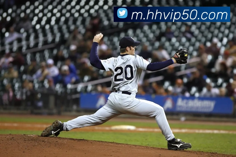 火狐体育官网首页服务体系